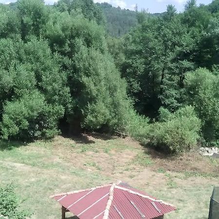 Guest Rooms Voneshcha Voda Вонешта-Вода Екстер'єр фото